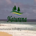Naturana Type-c