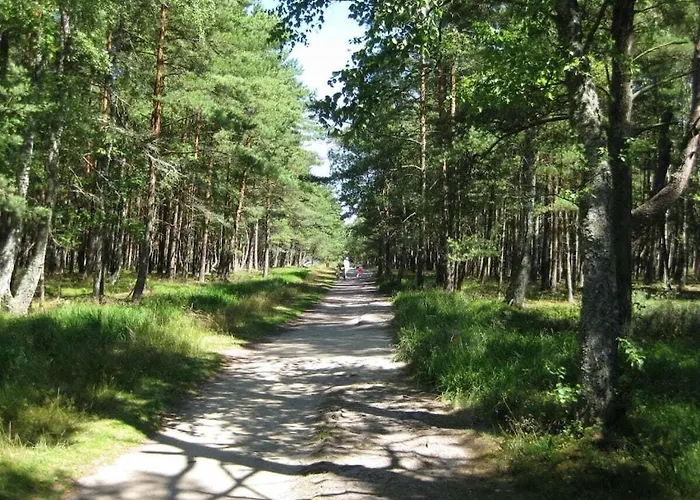 Naturana Type-c بيت للعطل